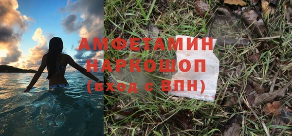ПСИЛОЦИБИНОВЫЕ ГРИБЫ Рославль